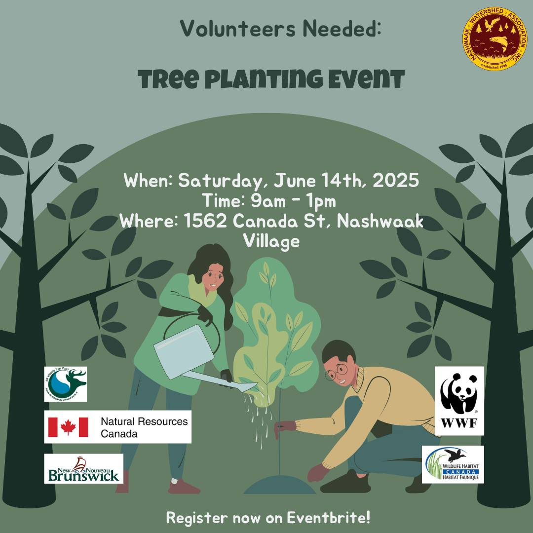 Tree Planting Event